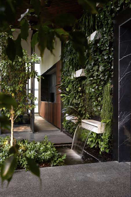 Paragon lobby with living green wall and waterfall feature